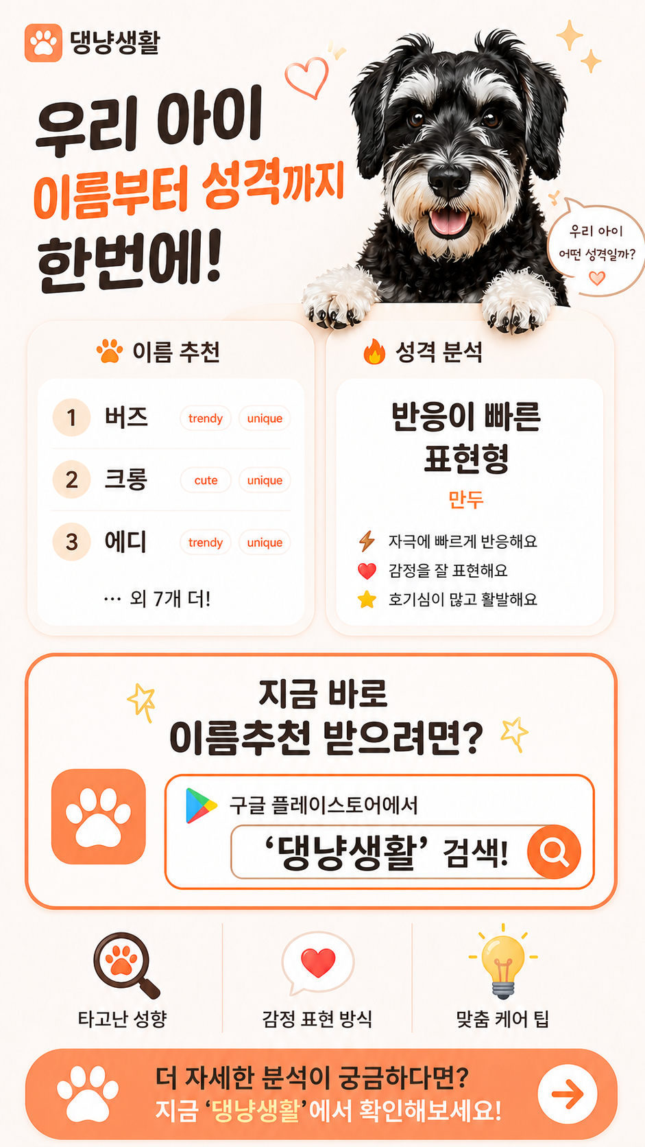 댕냥생활 메인 소개 이미지